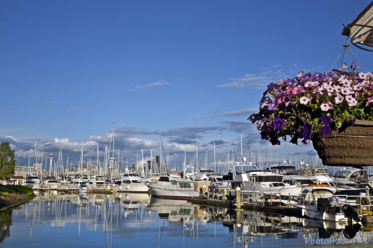 Image of Elliott Bay Marina by T. Kirkendall and V. Spring