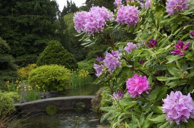 Picture of Kubota Garden - Kubota Garden