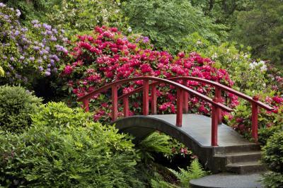 pictures of Seattle - Kubota Garden