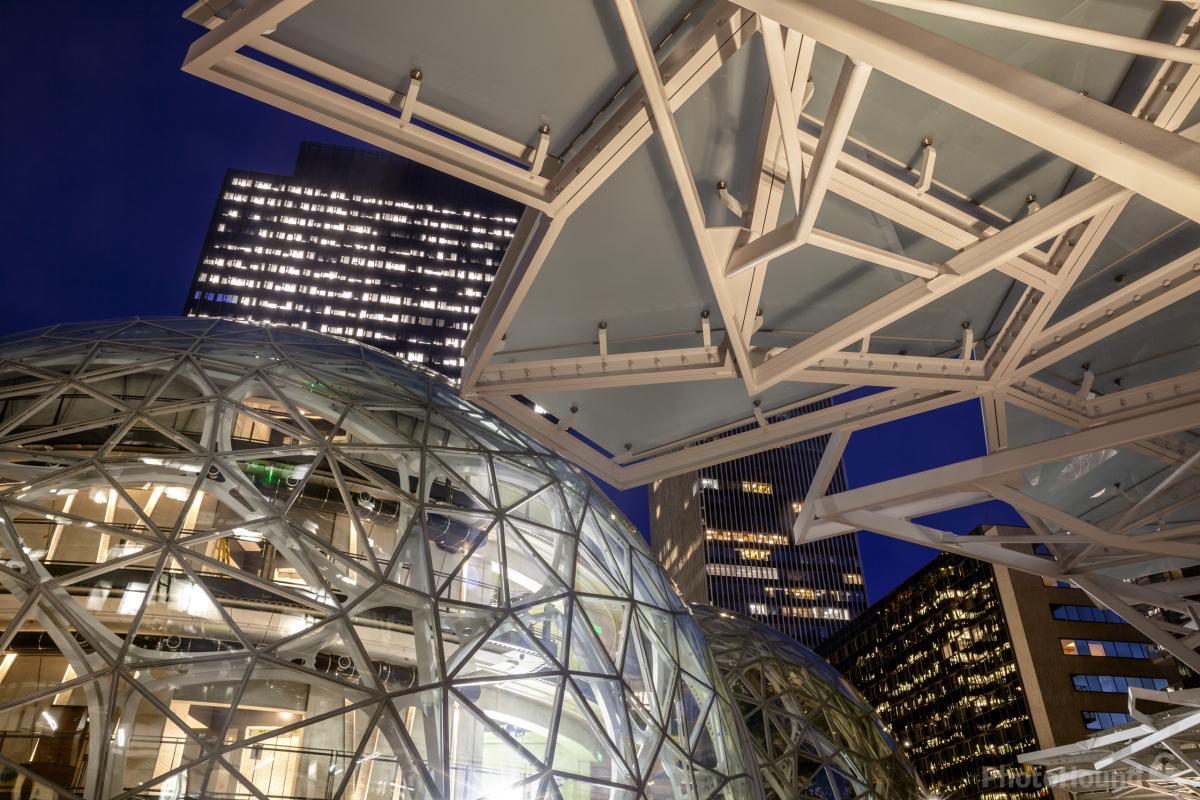 Image of Amazon Campus Biospheres by T. Kirkendall and V. Spring