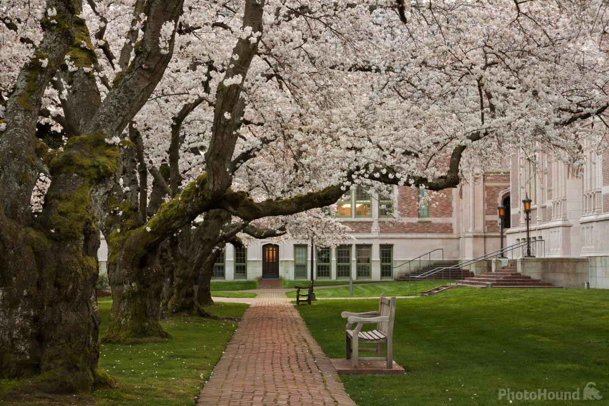 Image of University of Washington, Seattle Campus by T. Kirkendall and V. Spring