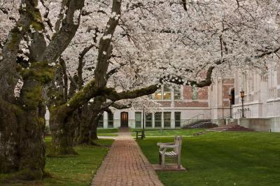 photos of Seattle - University of Washington, Seattle Campus