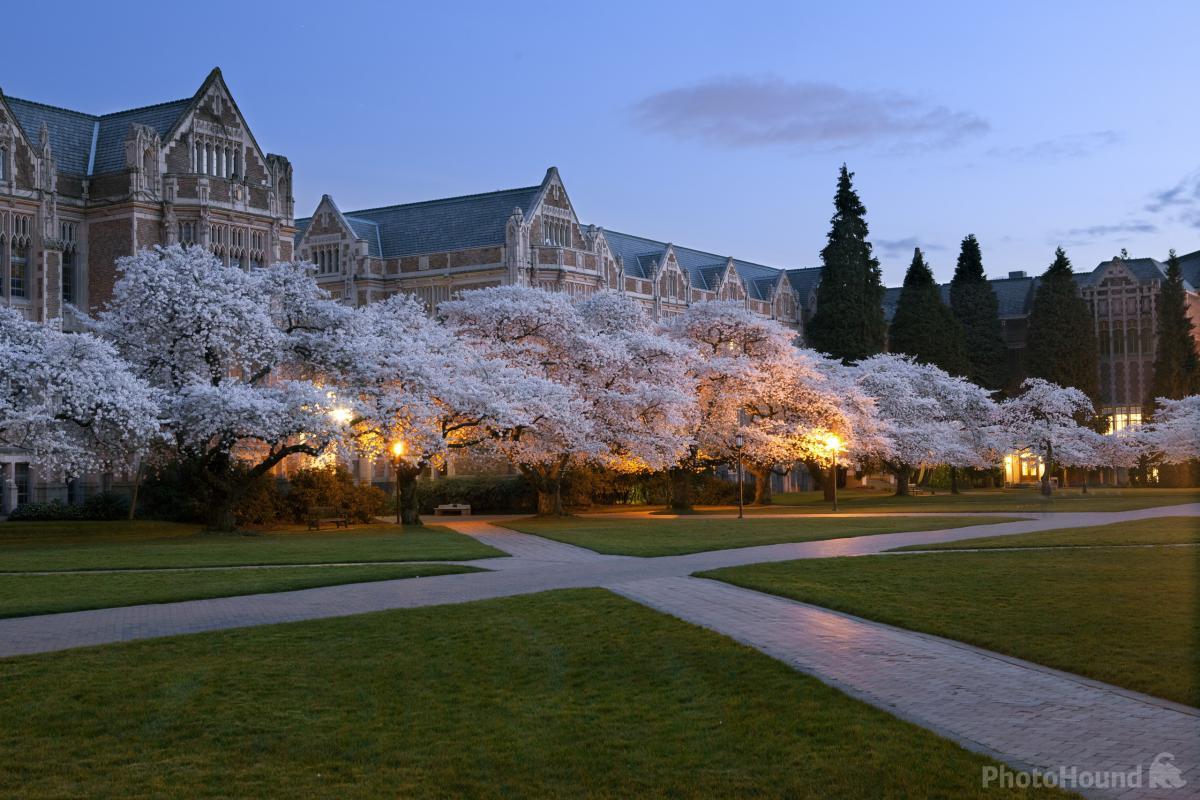 Image of University of Washington, Seattle Campus by T. Kirkendall and V. Spring