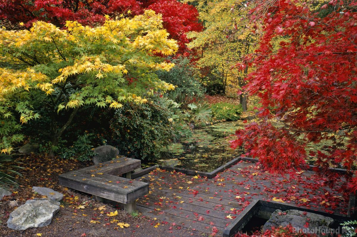 Image of Washington Park Arboretum by T. Kirkendall and V. Spring