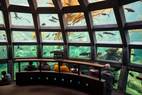 The Seattle Aquarium