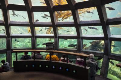 Image of The Seattle Aquarium - The Seattle Aquarium