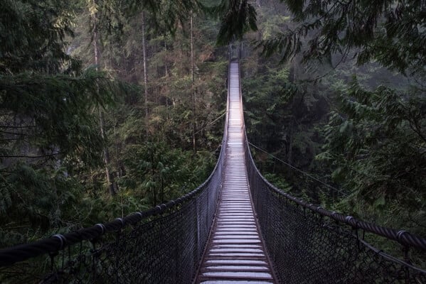 Lynn Canyon Suspension Bridge, North Vancouver