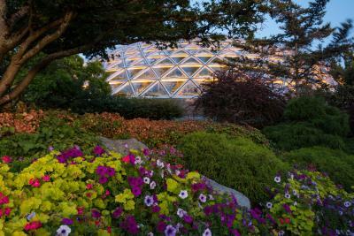 pictures of Vancouver - Bloedel Conservatory