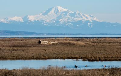 images of Vancouver - Boundary Bay Dyke, Delta
