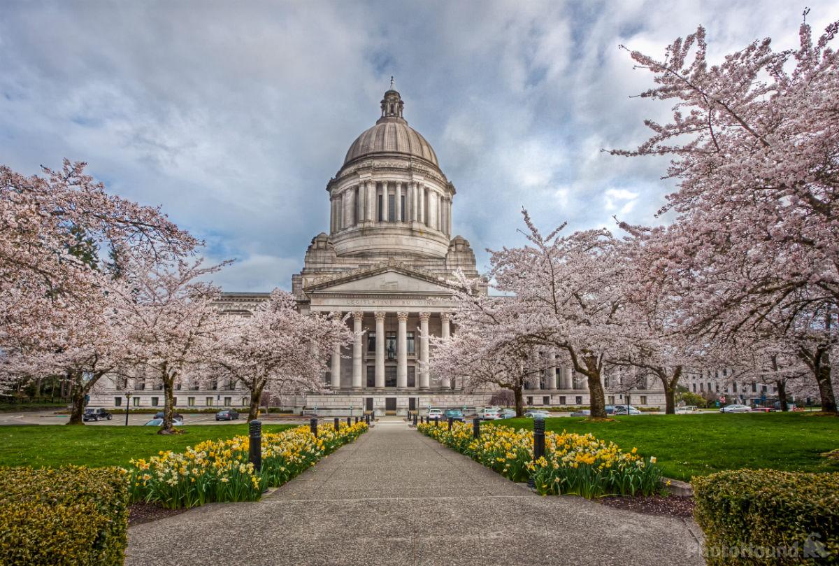 Image of Washington State Capitol by Joe Becker