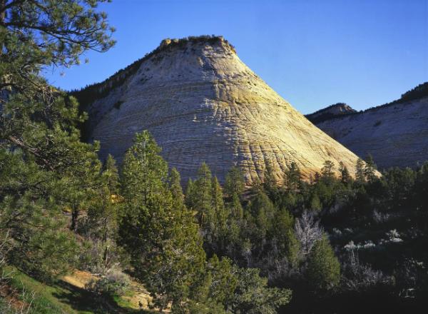 pictures of Zion National Park & Surroundings - Checkerboard Mesa 