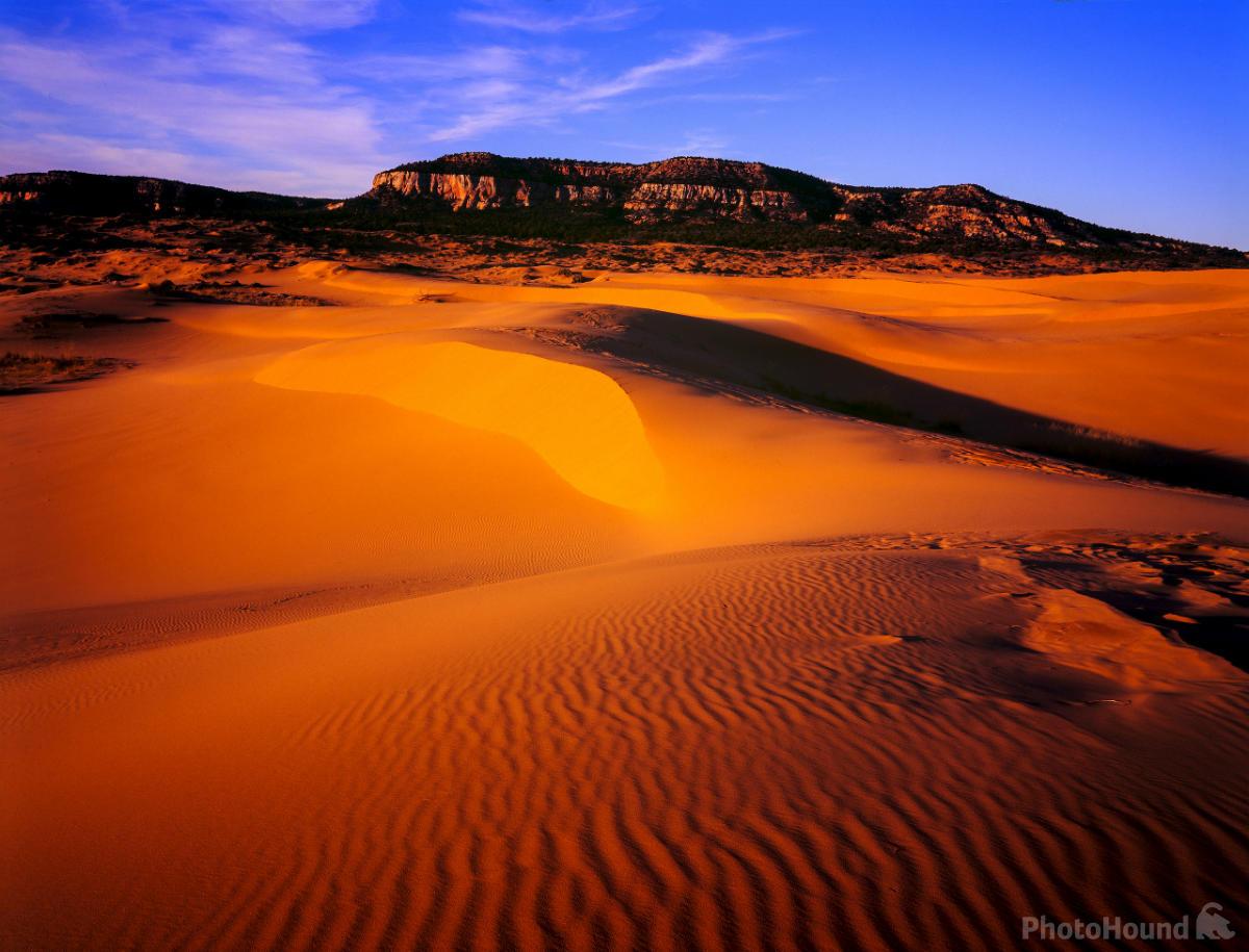 Image of Coral Pink Sand Dunes  by Laurent Martres