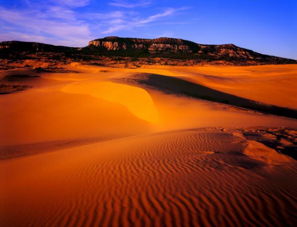 Photo of Coral Pink Sand Dunes  - Coral Pink Sand Dunes 