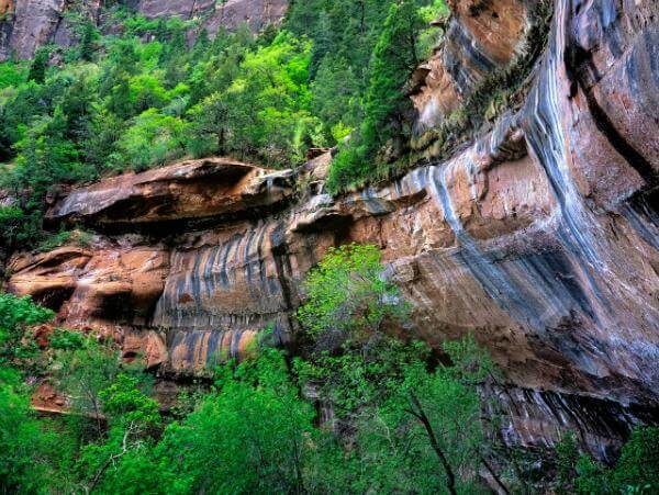 images of Zion National Park & Surroundings - Emerald Pools
