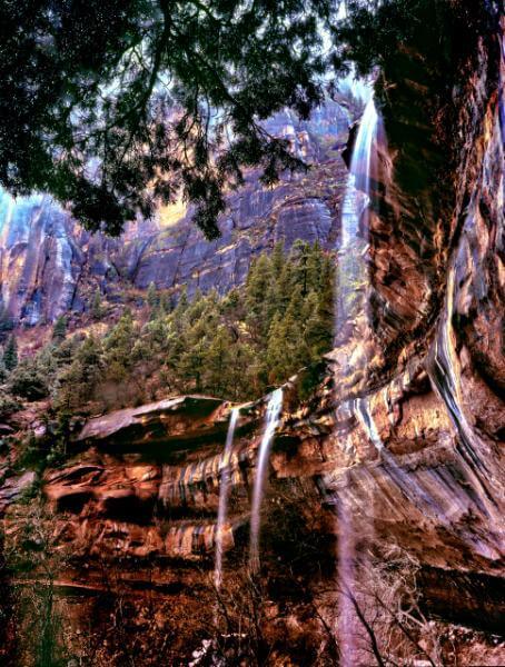 photos of Zion National Park & Surroundings - Emerald Pools