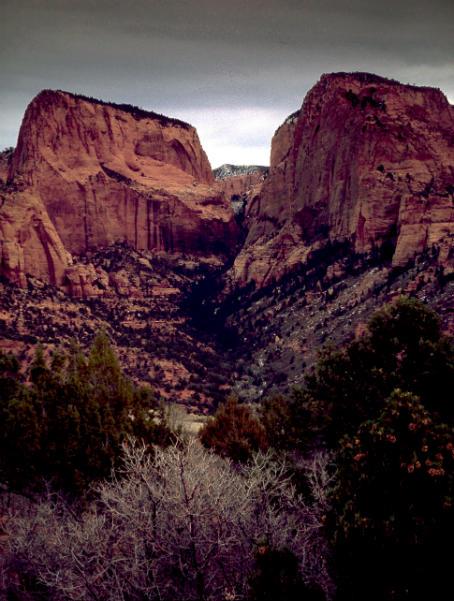 images of Zion National Park & Surroundings - Kolob Canyons Viewpoint 