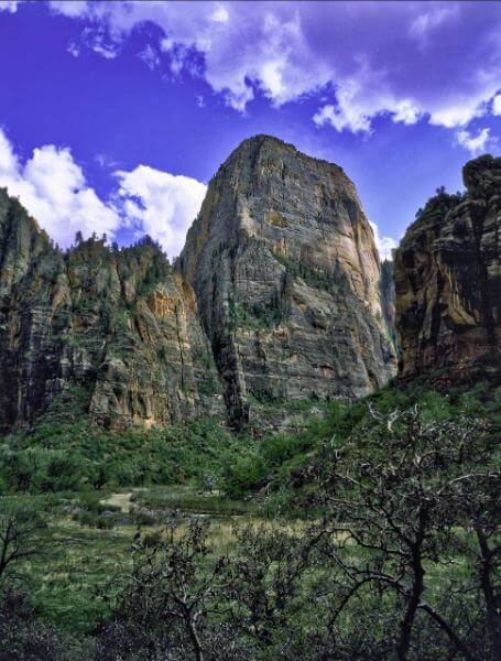 photos of Zion National Park & Surroundings - Photo Point & Big Bend 