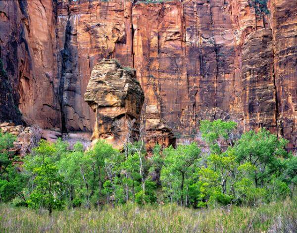 images of Zion National Park & Surroundings - Temple of Sinawava - The Pulpit