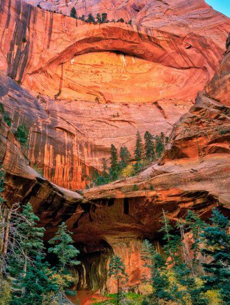 Photo of Taylor Creek - Double Arch Alcove - Taylor Creek - Double Arch Alcove