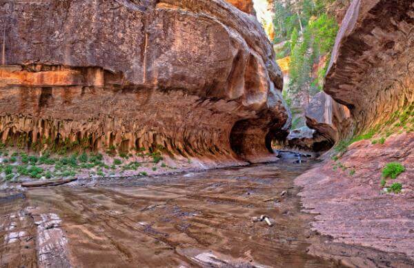images of Zion National Park & Surroundings - The Subway from the “Bottom” 