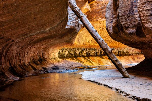 images of Zion National Park & Surroundings - The Subway from the “Top” 