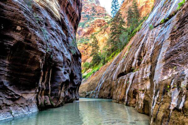 images of Zion National Park & Surroundings - The Virgin Narrows