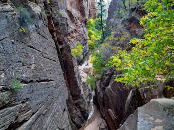 photos of Zion National Park & Surroundings - Water Canyon 