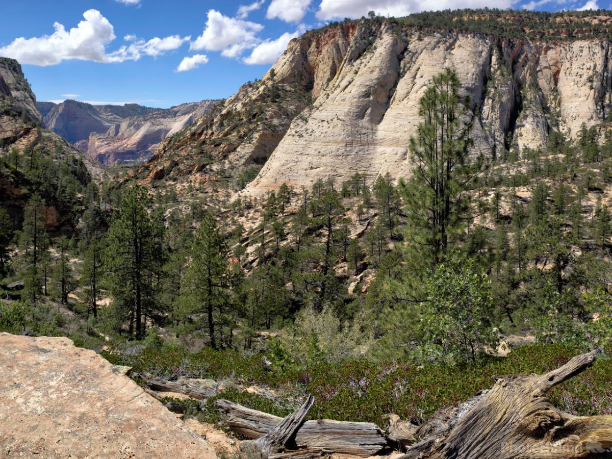 Image of The East Rim Trail  by Laurent Martres