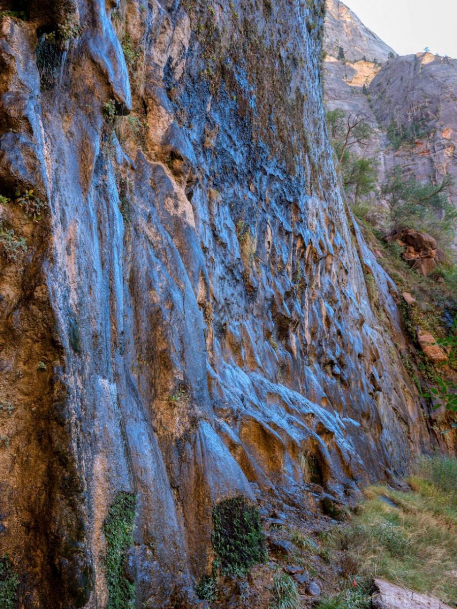 Image of Weeping Rock by Laurent Martres