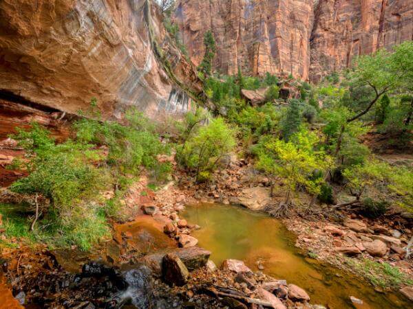 images of Zion National Park & Surroundings - Emerald Pools