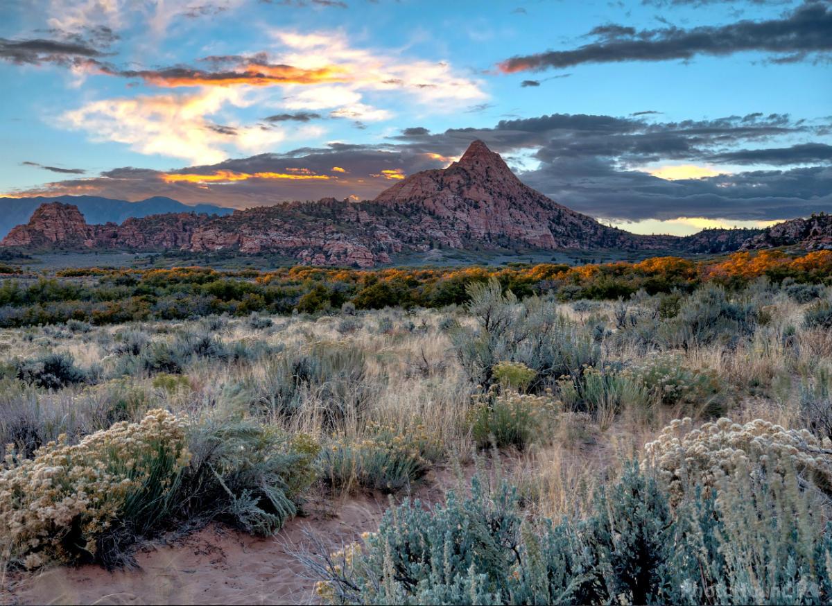 Image of Kolob Terrace Road  by Laurent Martres