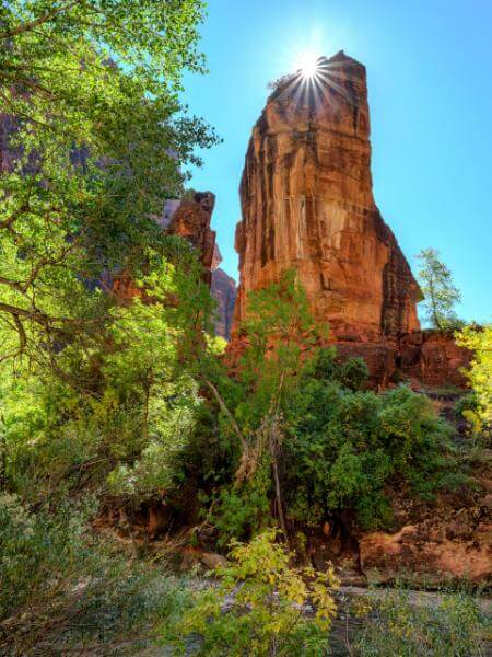 pictures of Zion National Park & Surroundings - Temple of Sinawava - The Pulpit