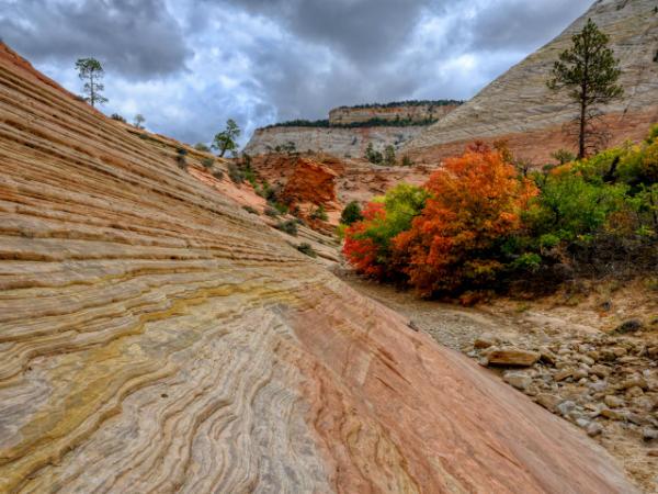 photos of Zion National Park & Surroundings - The Zion Plateau