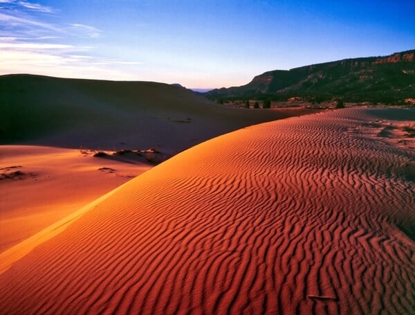 Coral Pink Sand Dunes 