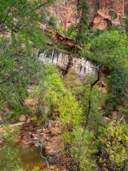 pictures of Zion National Park & Surroundings - Emerald Pools