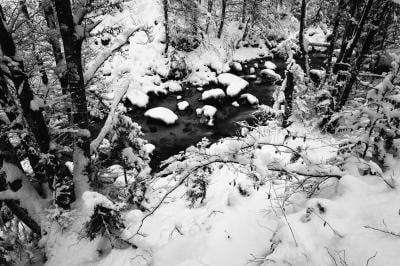 pictures of Lakes Bled & Bohinj - Radovna river