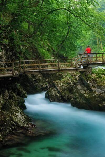 images of Slovenia - Vintgar Gorge