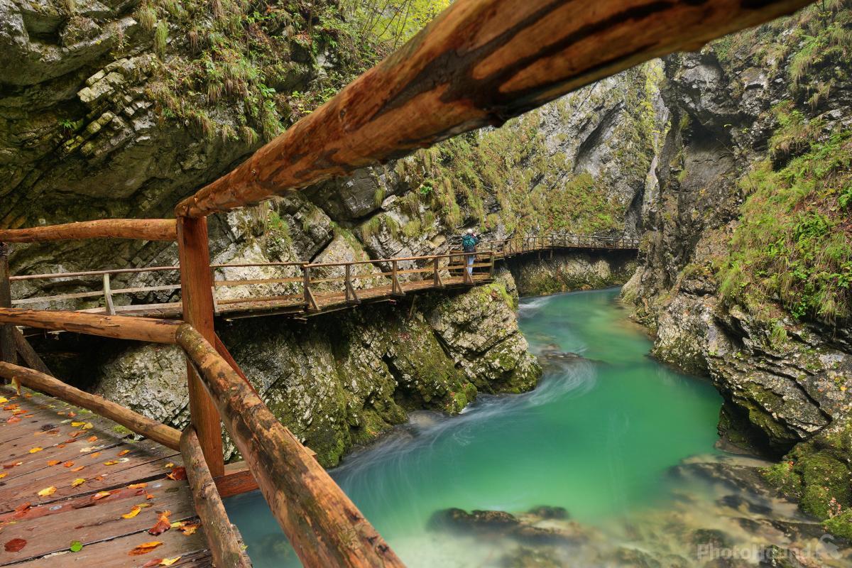Image of Vintgar Gorge by Luka Esenko