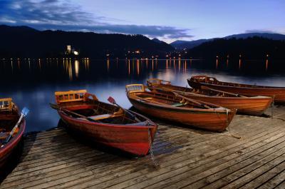 photos of Lakes Bled & Bohinj - Mlino Lake View 