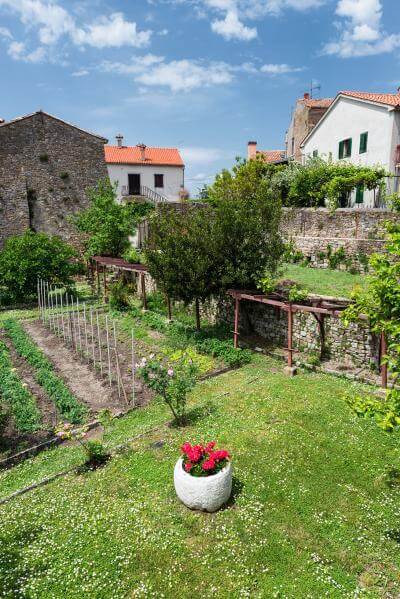 images of Istria - Motovun Old Town